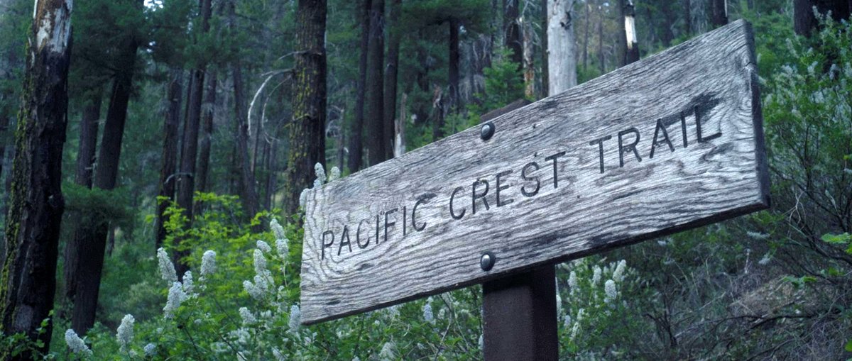 Photo from the movie To Die Alone [2024]