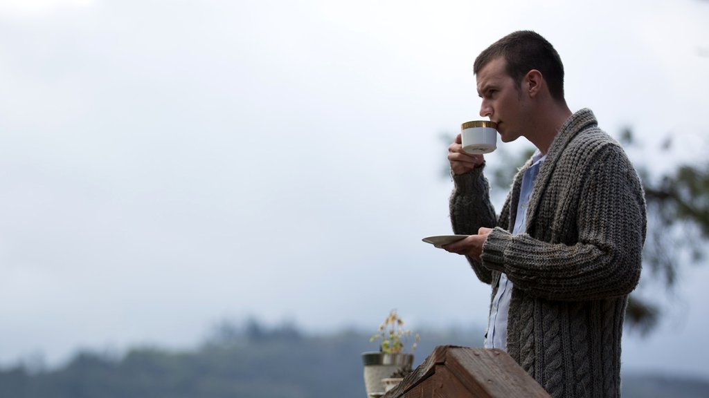 Photo du film Maya Dardel