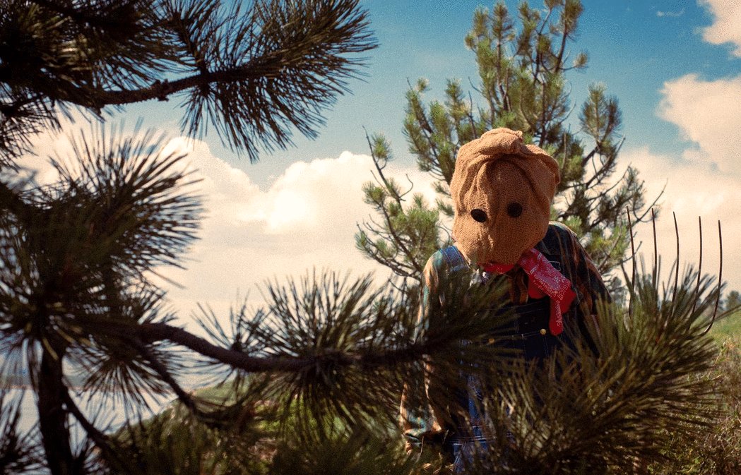 Photo du film Field of Screams