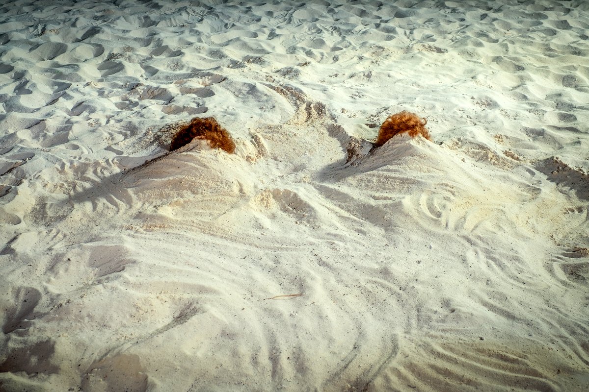 Photo du film Barb et Star vont à Vista Del Mar