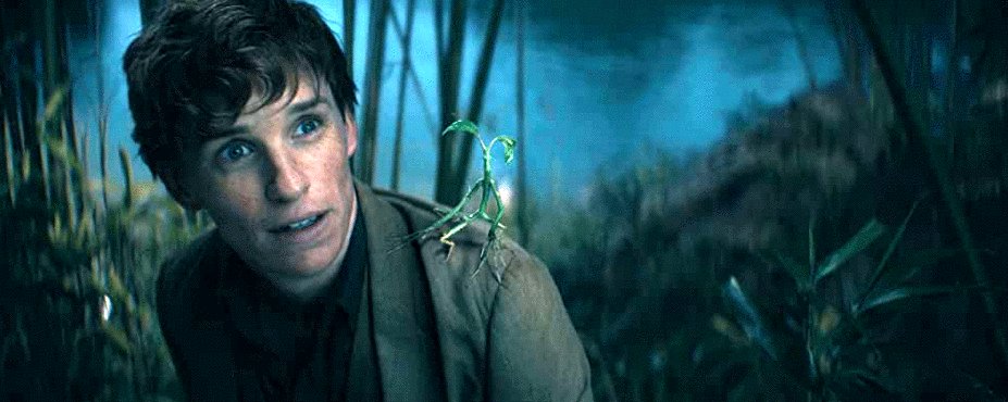 Photo from the movie Fantastic Beasts: The Secrets of Dumbledore