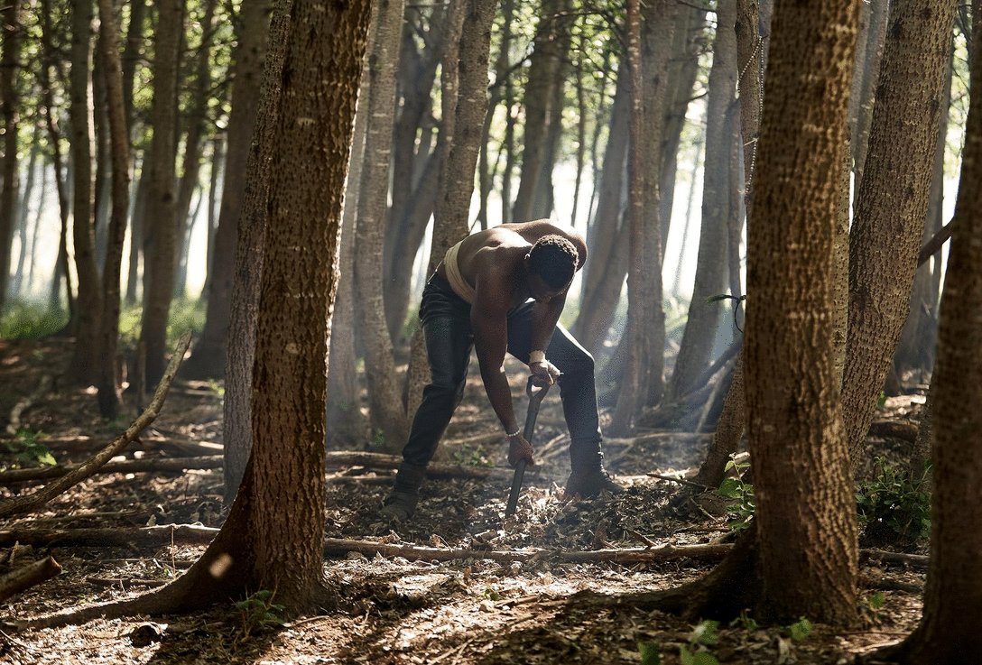 Photo du film Heart of the Hunter