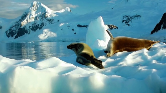 Photo du film Time to Choose