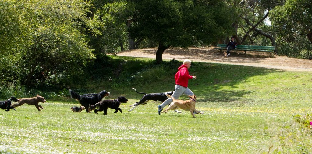 Photo du film Unleashed