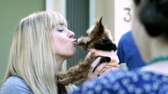 Photo from the movie Gone Doggy Gone