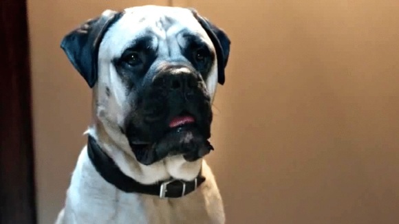 Photo du film Les Voix