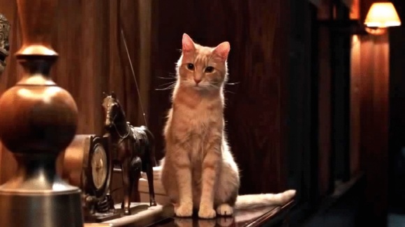 Photo du film Les Voix