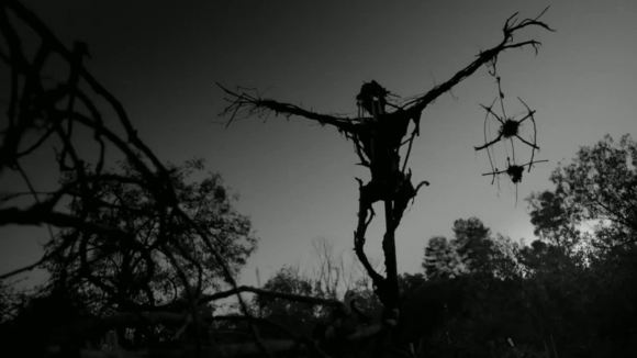 Photo du film Mr. Jones