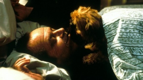 Photo du film Pour le pire et pour le meilleur