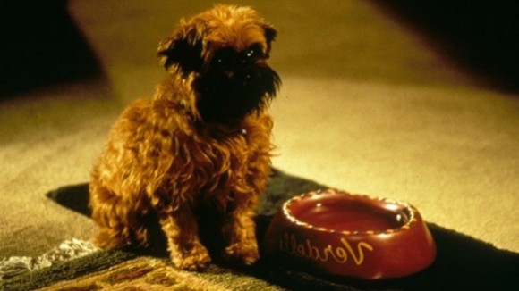 Photo du film Pour le pire et pour le meilleur