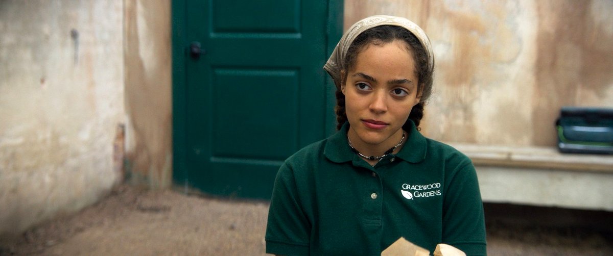 Photo du film Les racines de la violence