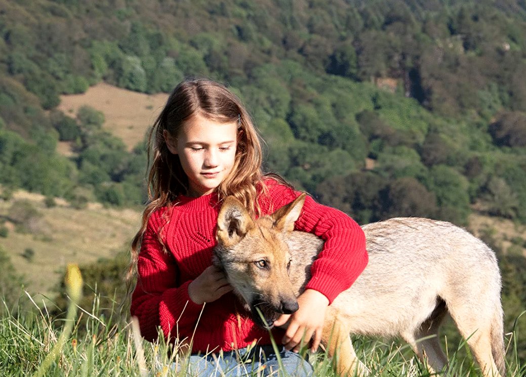 Photo from the movie Vicky and Her Mystery