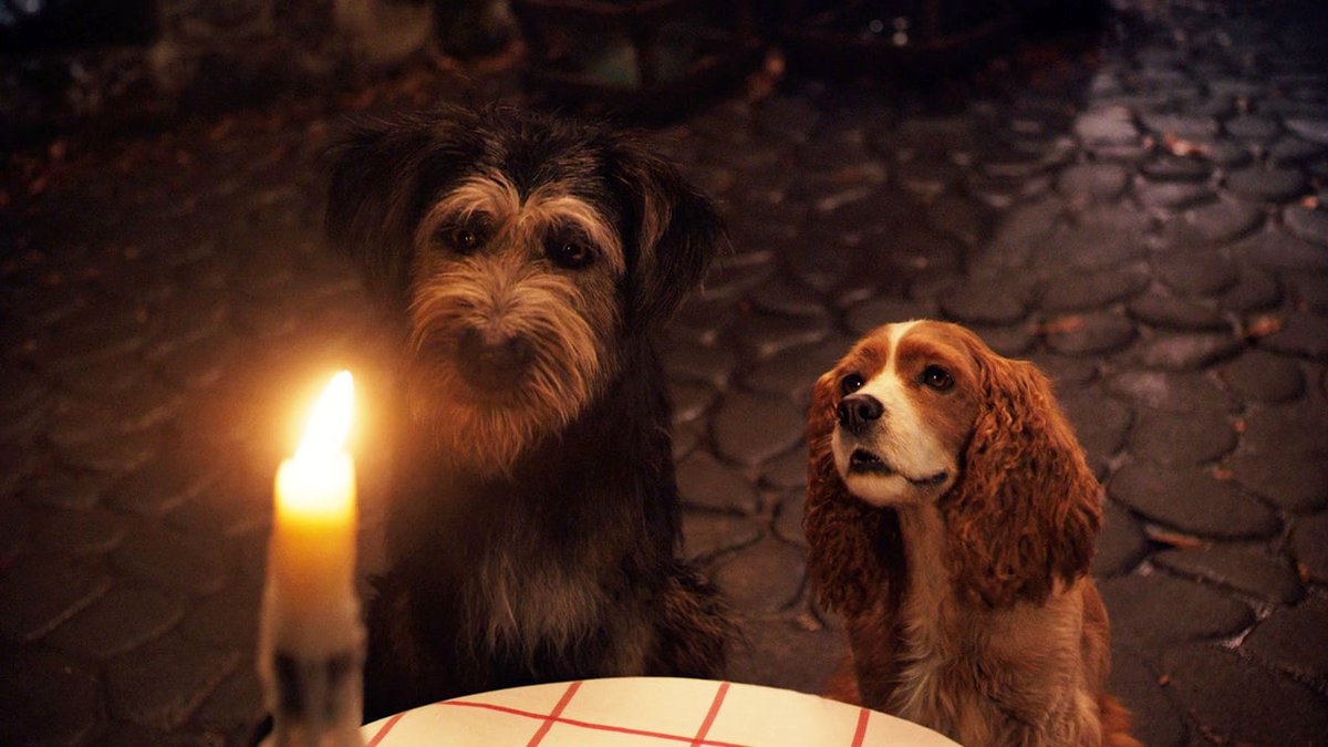 Photo du film Lady and the Tramp