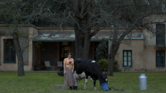 Photo du film Un Chinois tombé du ciel