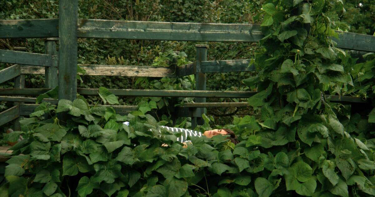 Photo from the movie In Broad Daylight