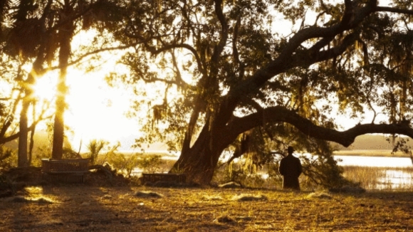 Photo du film Savannah