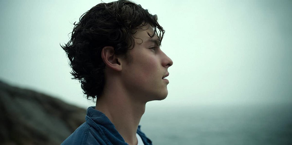 Photo du film Shawn Mendes: In Wonder