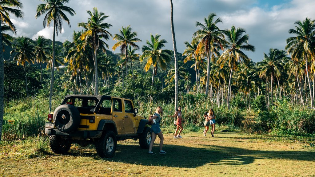 Photo du film Instinct de survie: Piégés