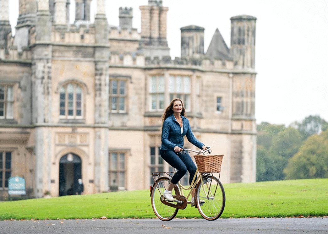 Photo du film A Castle for Christmas