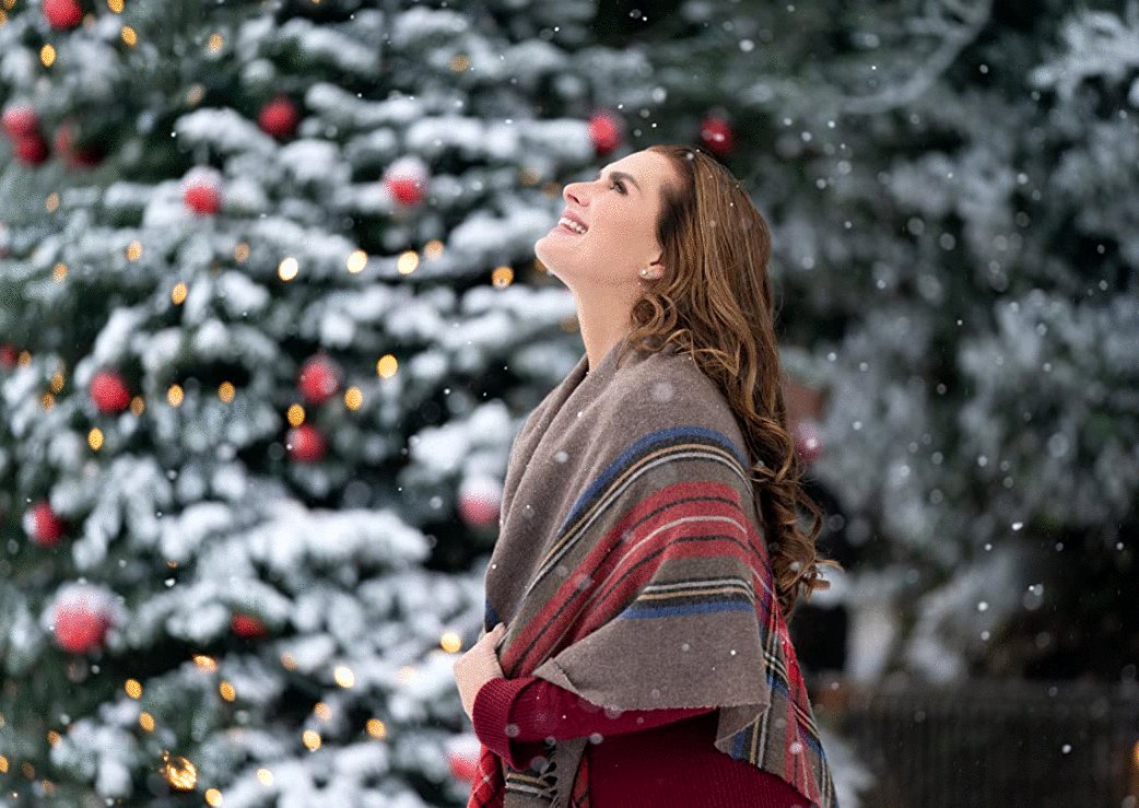 Photo du film A Castle for Christmas