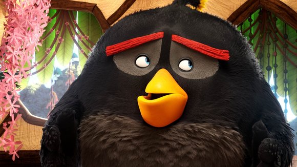 Photo du film Angry Birds: Le film