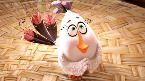 Photo du film Angry Birds: Le film