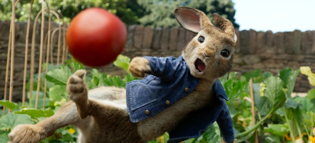 Photo du film Pierre Lapin