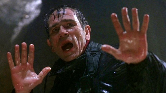 Photo from the movie The Fugitive