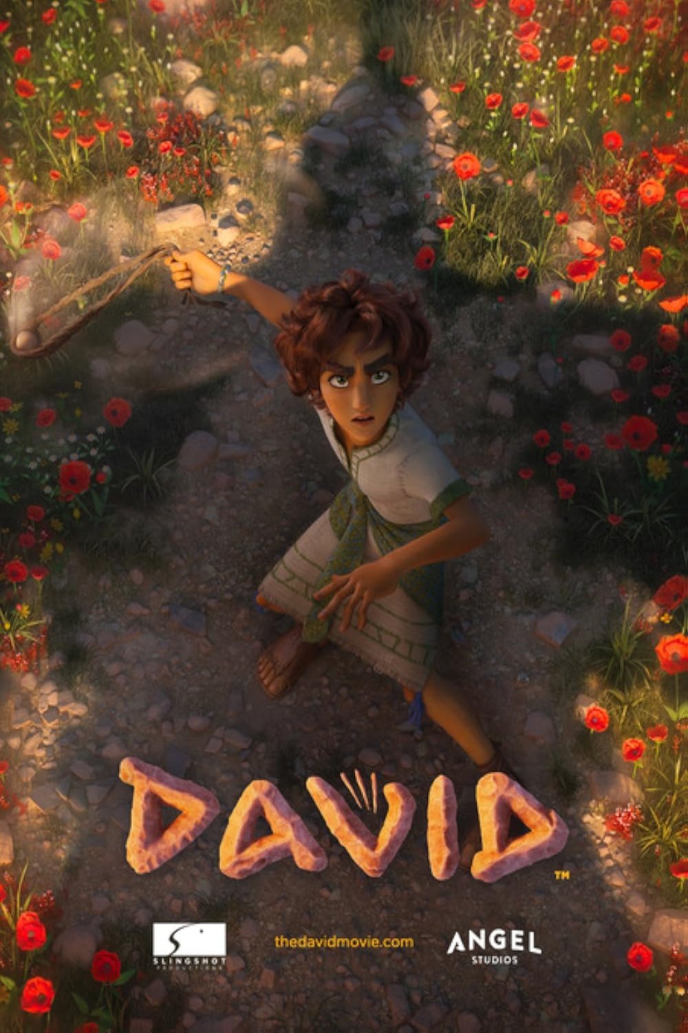 L'affiche du film David v.f.