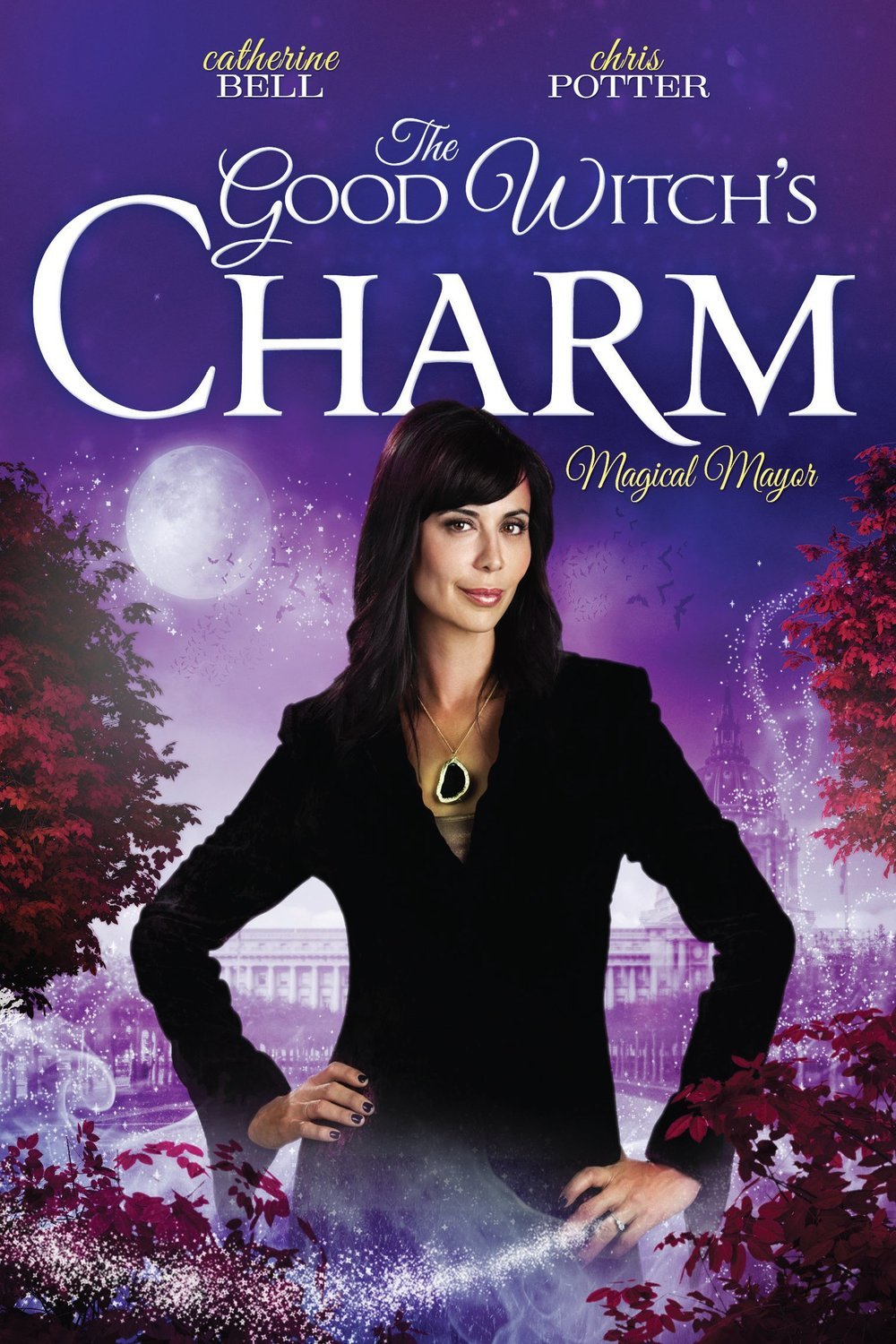 L'affiche du film The Good Witch's Charm