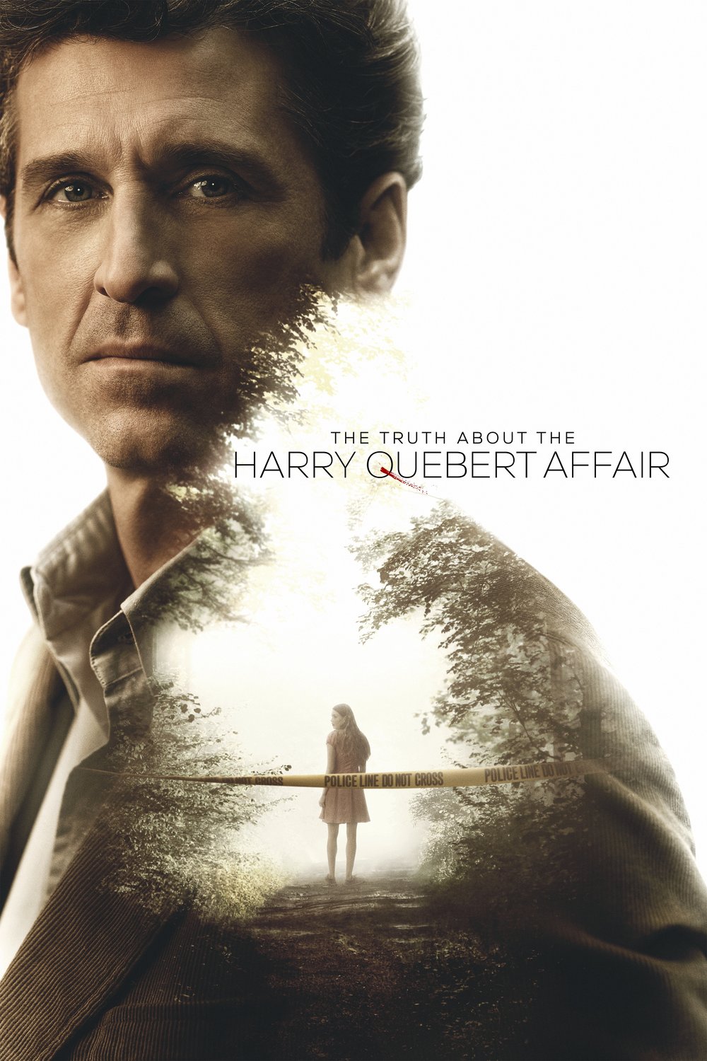 L'affiche du film The Truth About the Harry Quebert Affair