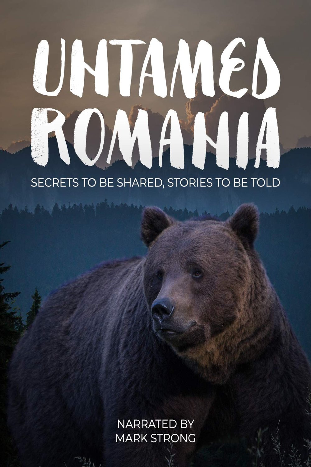 L'affiche du film România neîmblânzitã