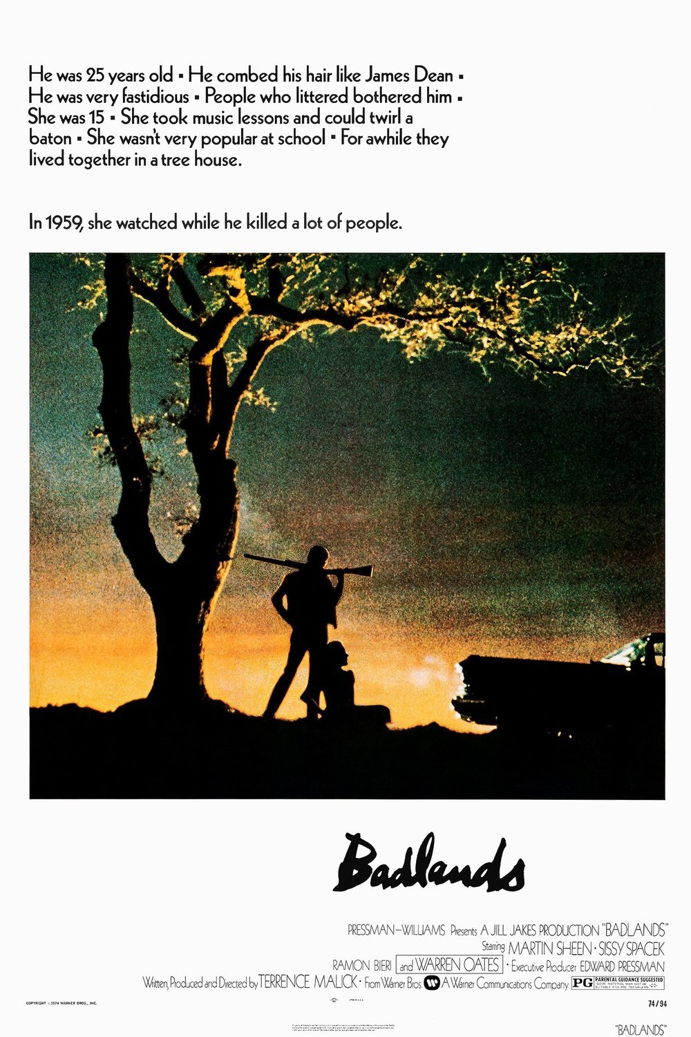 L'affiche du film La balade sauvage
