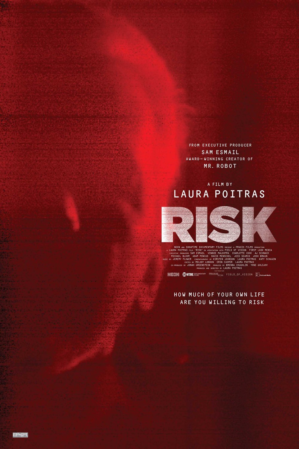 Poster of the movie Risk [2016]