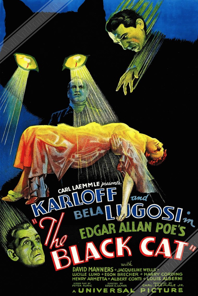 L'affiche du film The Black Cat