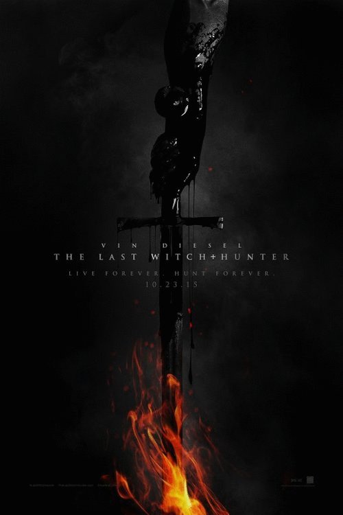 Poster of the movie The Last Witch Hunter [2015]