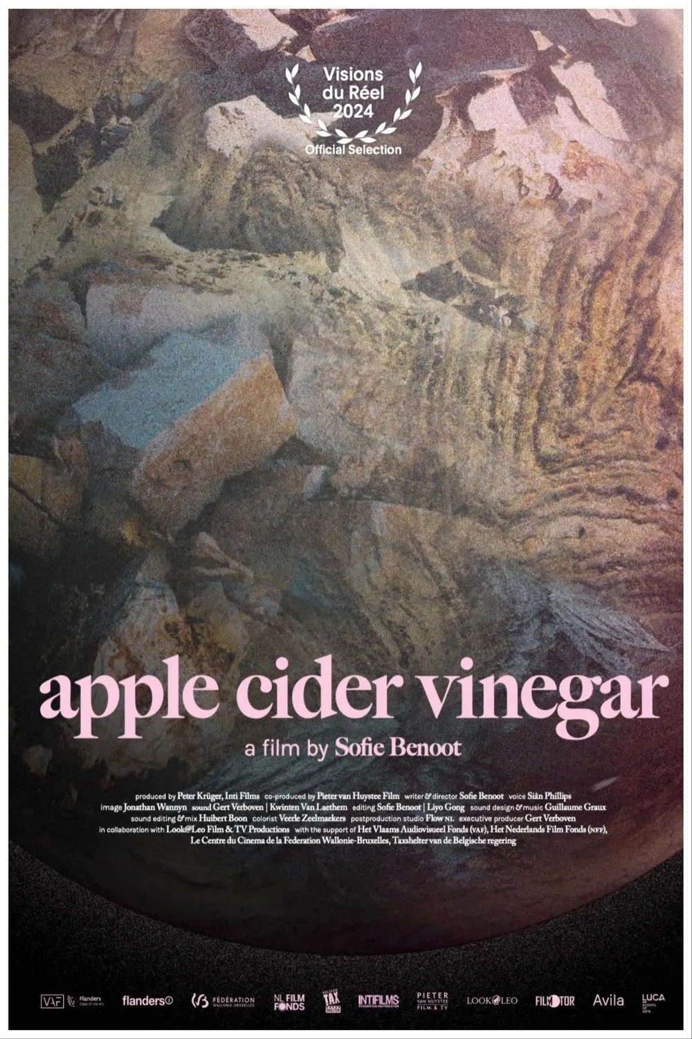 L'affiche du film Apple Cider Vinegar