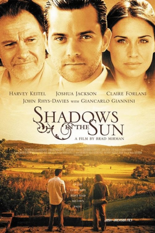 Poster of the movie Shadows in the Sun