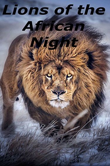 L'affiche du film Lions of the African Night