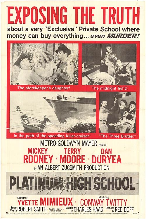 L'affiche du film Platinum High School