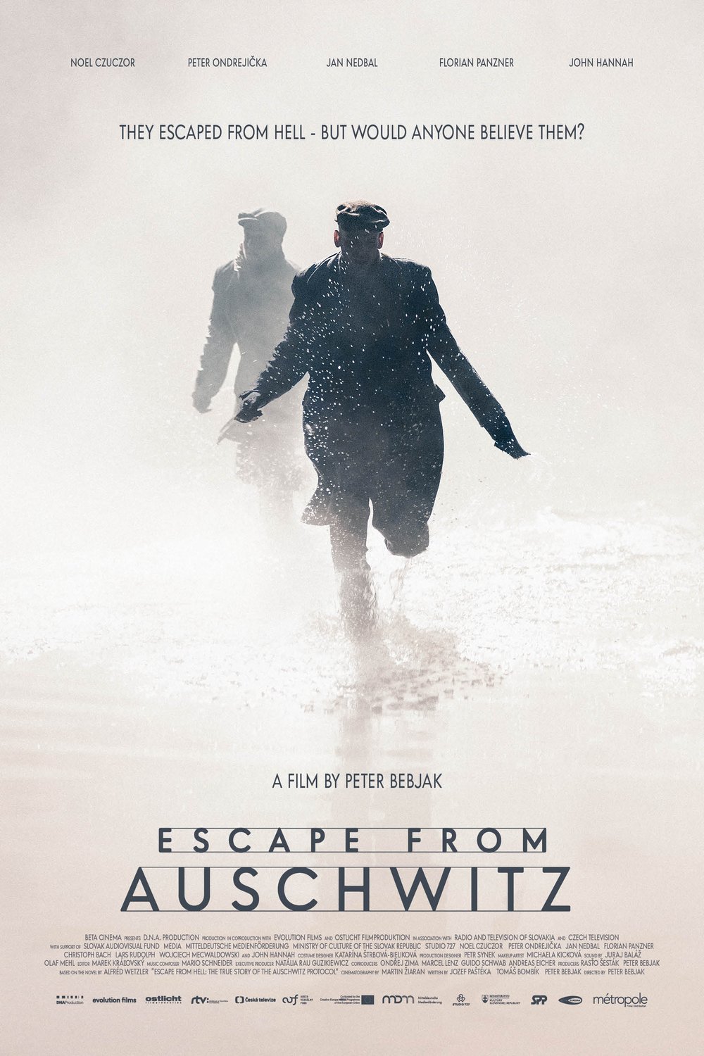 Poster of the movie The Auschwitz Report