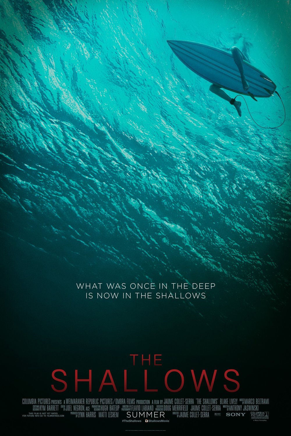 Poster of the movie The Shallows [2016]