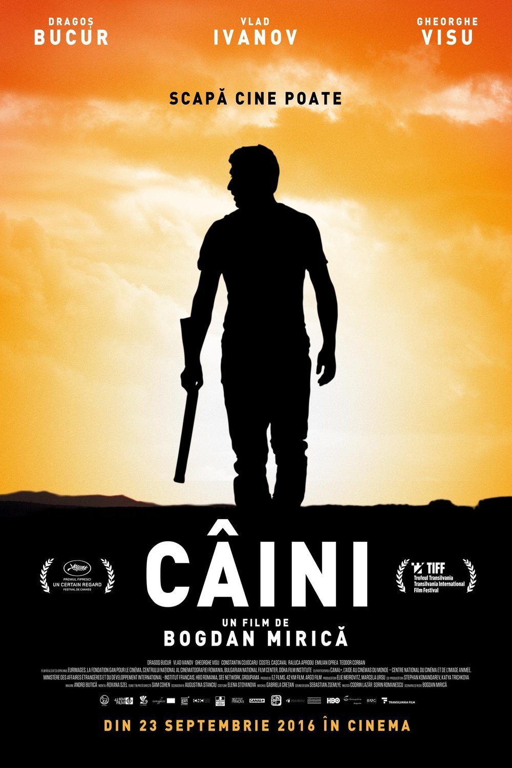 L'affiche du film Câini