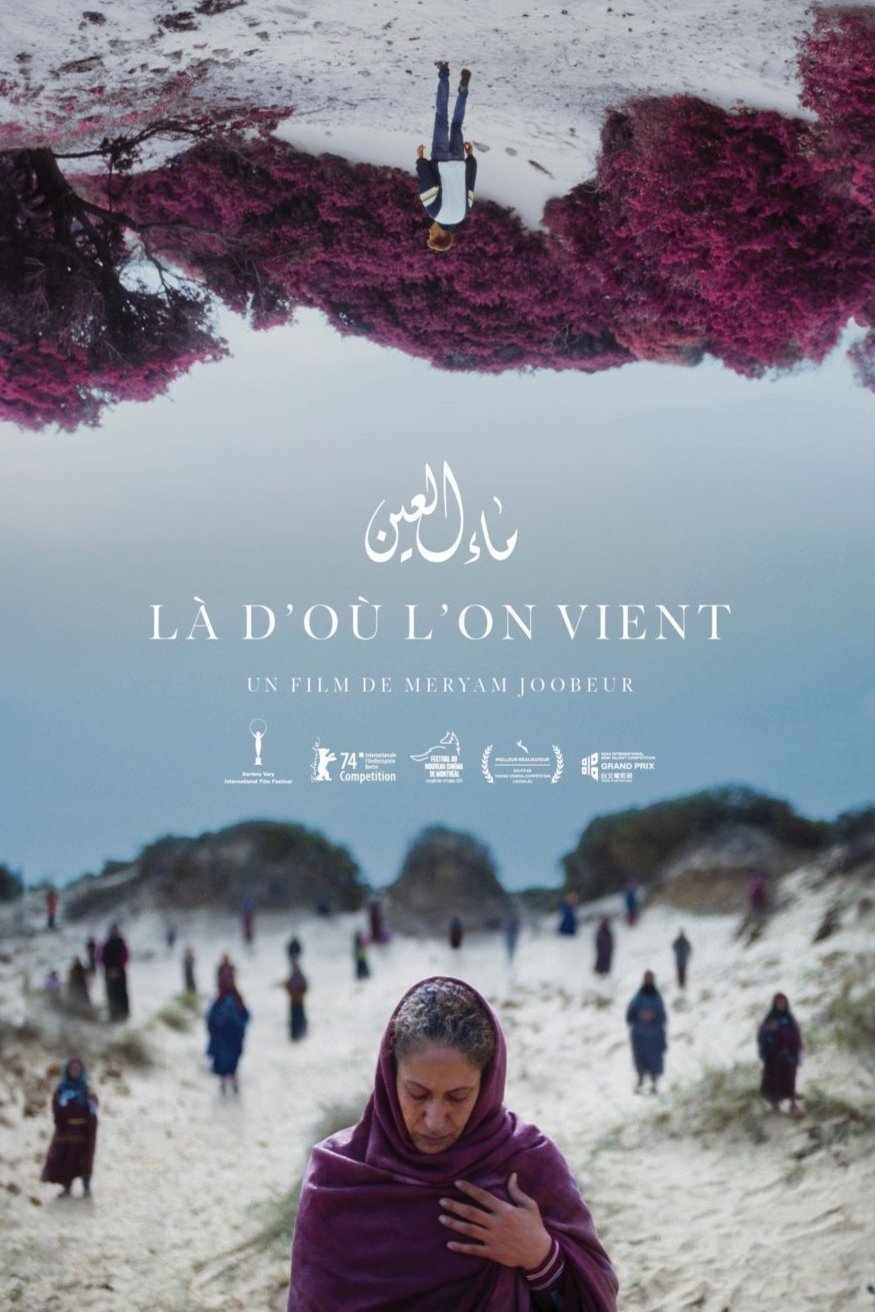 Poster of the movie Là d'où l'on vient [2024]