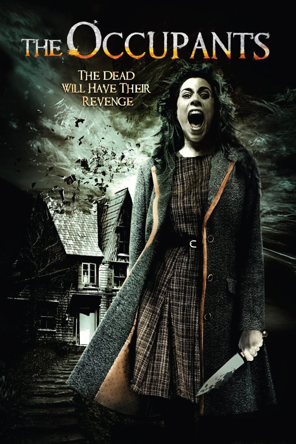 L'affiche du film The Occupants