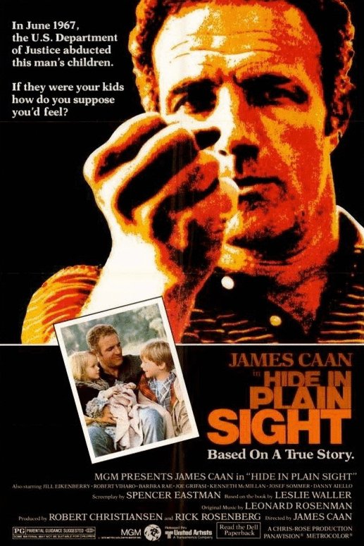 L'affiche du film Hide in Plain Sight