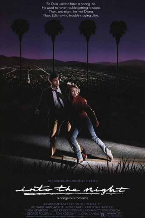 L'affiche du film Into the Night