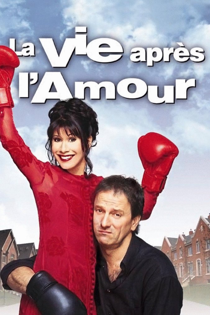 L'affiche du film La vie après l'amour