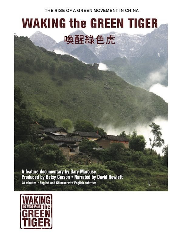 L'affiche du film Waking the Green Tiger