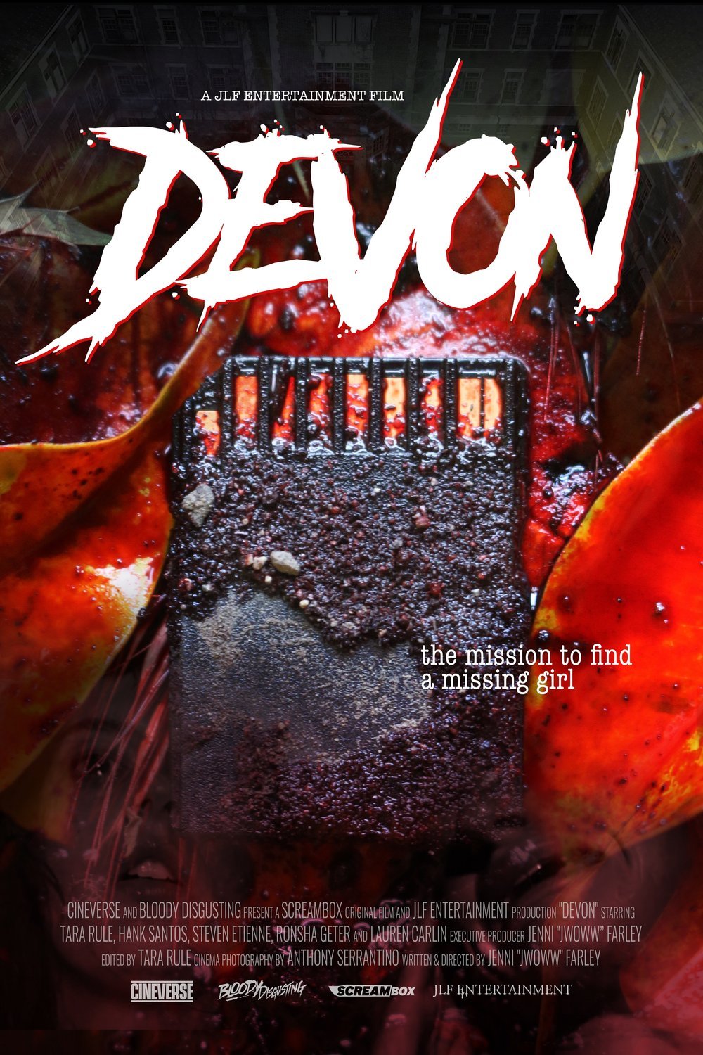 L'affiche du film Devon